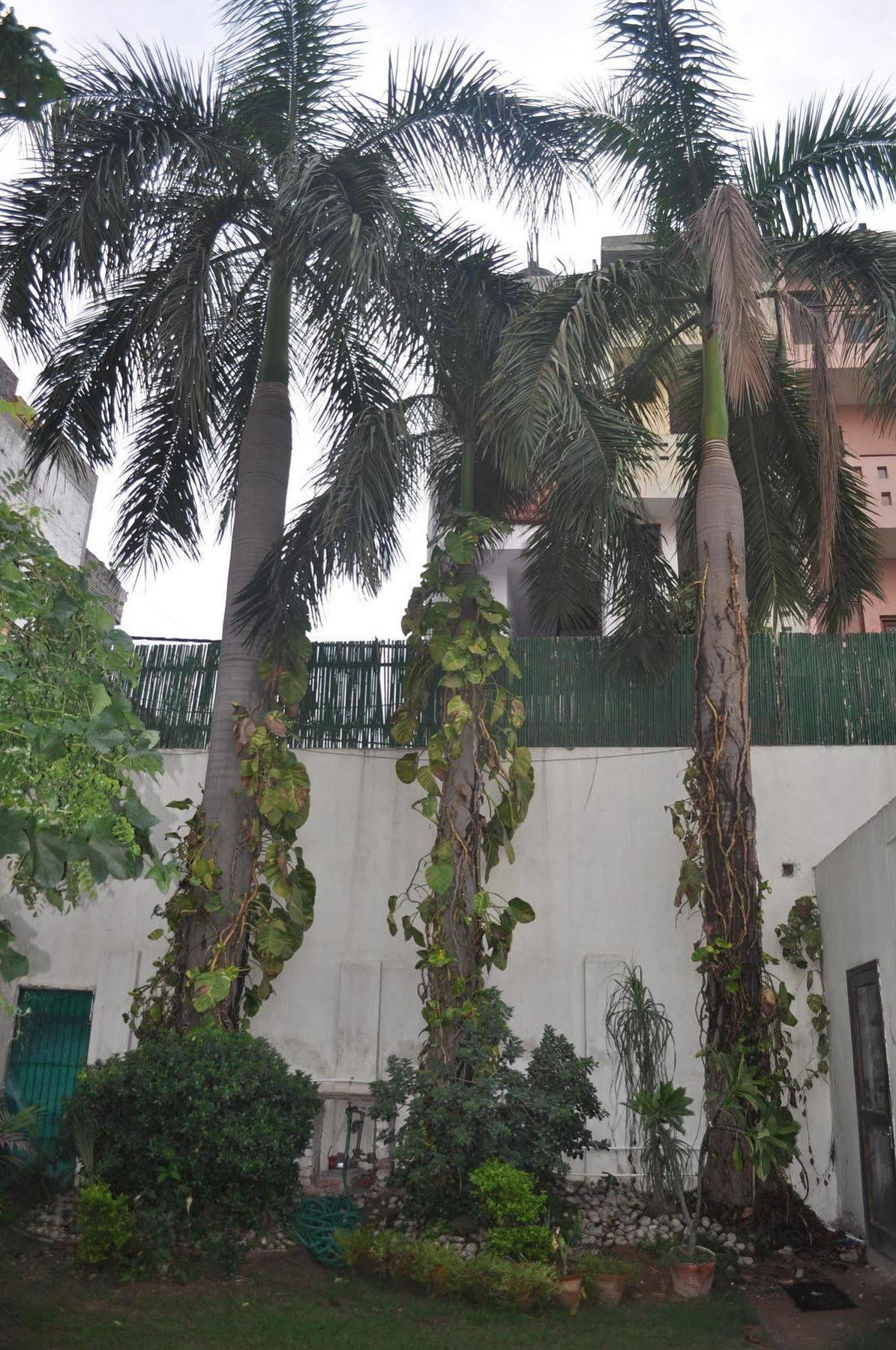 Hotel Kabli New Delhi Buitenkant foto